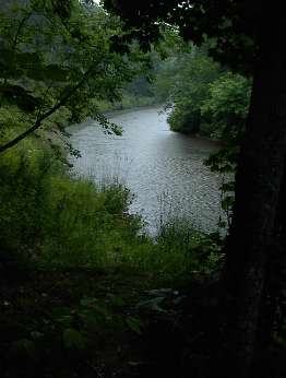 Click to see DSC00010.JPG